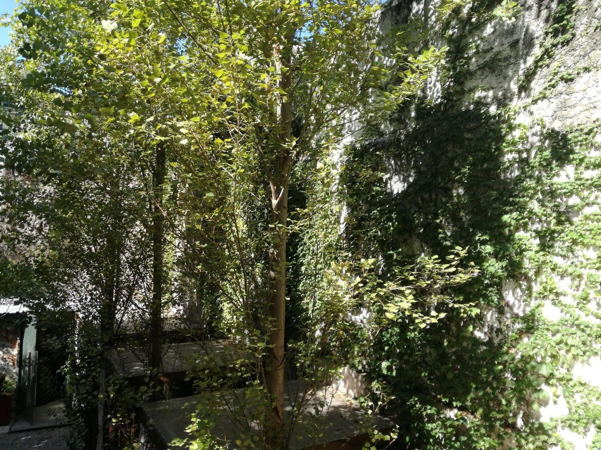 Feel Buenos Aires Apartments Екстер'єр фото